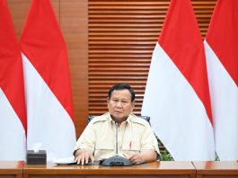 Presiden Prabowo: Kenaikan Tarif PPN 12% Hanya untuk Barang dan Jasa Mewah