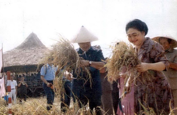 Presiden Soeharto saat mengikuti panen raya di Pantai Utara Jawa Barat. Tangkapan layar dari buku Soeharto: Pikiran Ucapan dan Tindakan Saya.